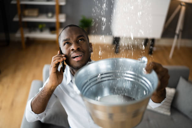 Best Water damage restoration near me  in Royal Palm Beach, FL
