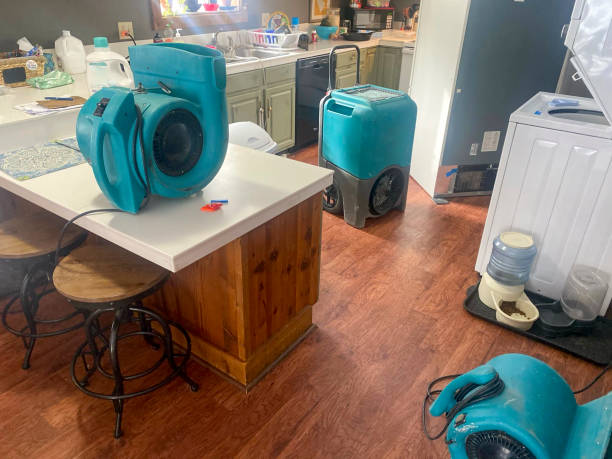 Reliable Royal Palm Beach, FL Water damage restoration Solutions