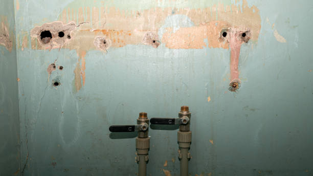 Carpet water damage restoration in Royal Palm Beach, FL