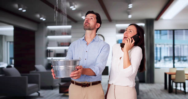 Trusted Royal Palm Beach, FL Water damage restoration Experts